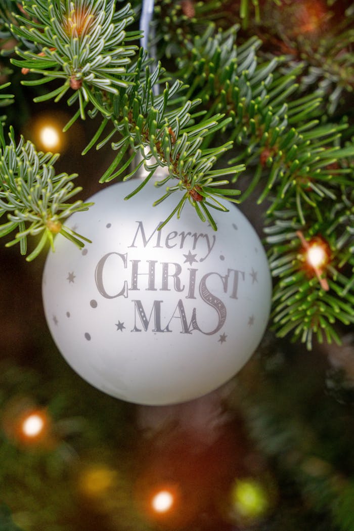 Close-up of a festive 'Merry Christmas' ornament hanging on a Christmas tree.